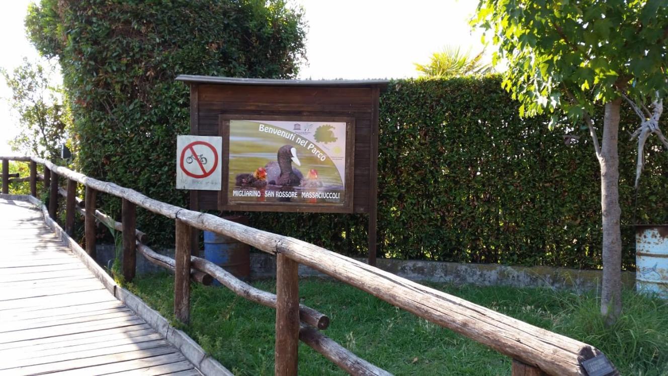 Villa Twetty Massaciuccoli Dış mekan fotoğraf